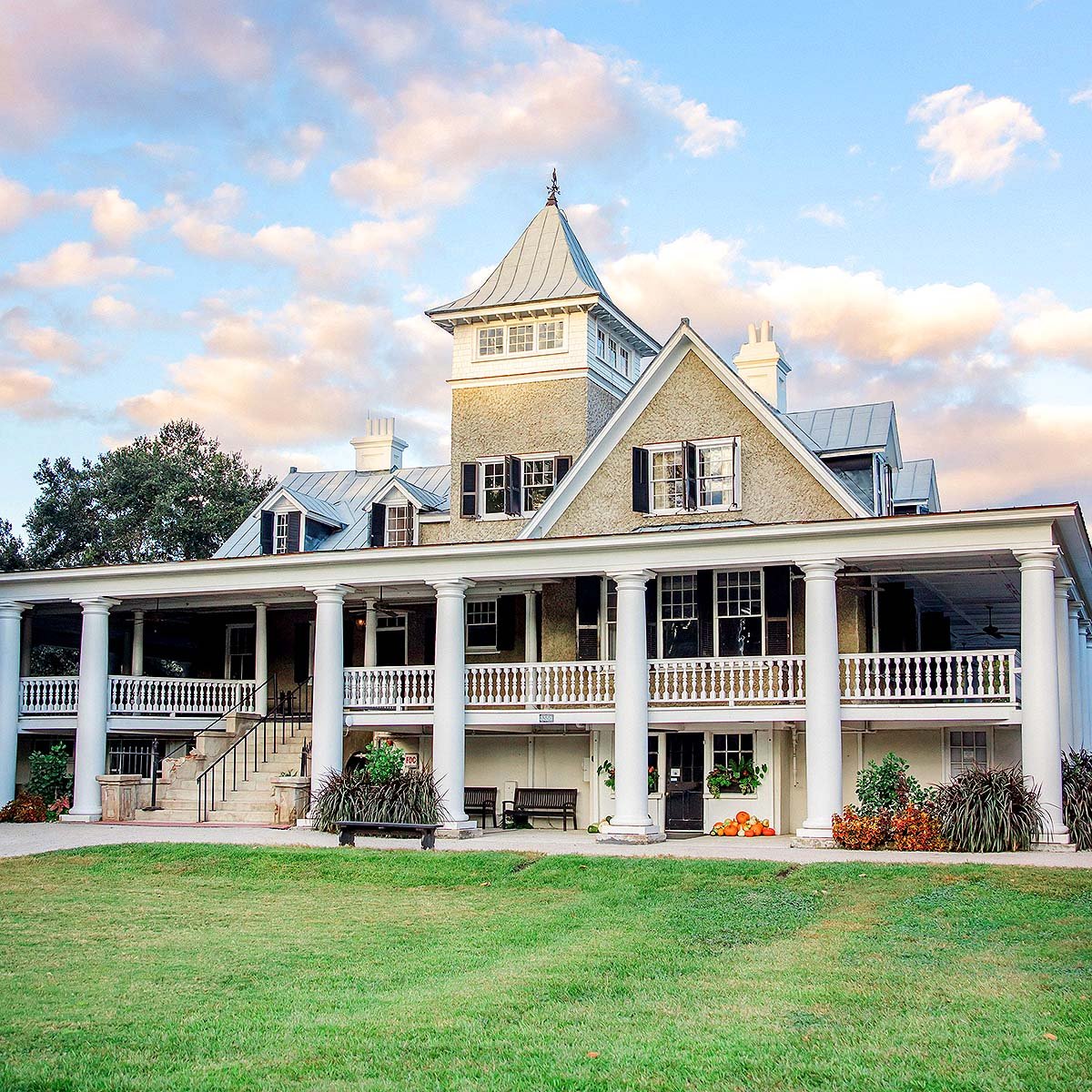 Visit Magnolia Plantation