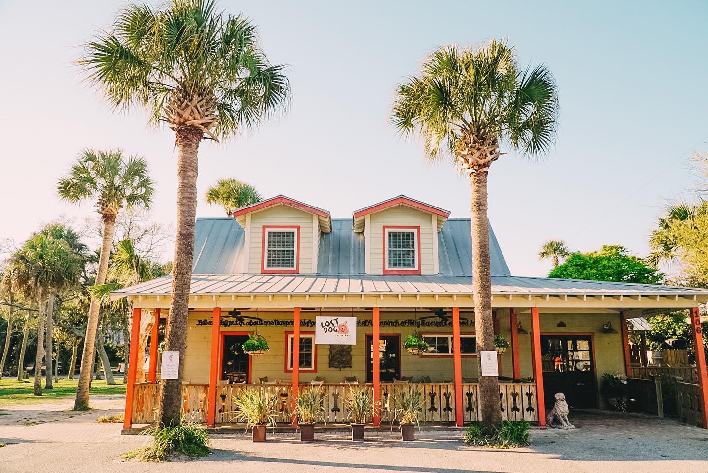 Lost Dog Café